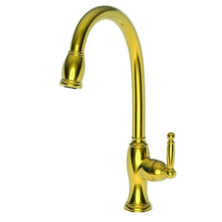 Pull-Down Kitchen Faucet in Polished Brass Uncoated (Living)